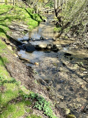 All year babbling creek.