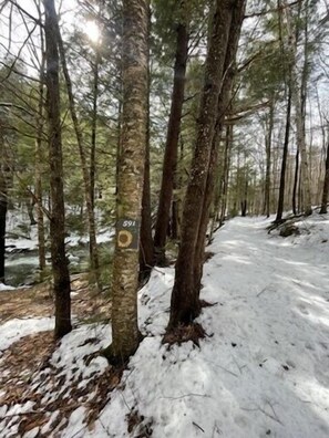 Hiking path along river 