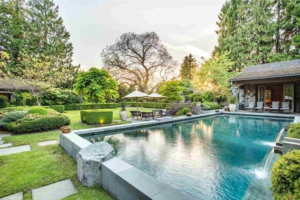 Outdoor Pool & Backyard
