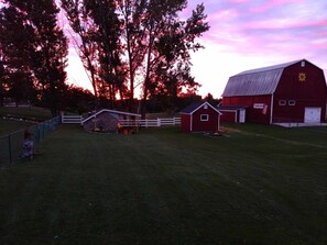 Beautiful Sunrises