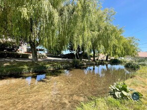 Sutton Poyntz Duck Pond