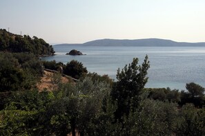 Sekalaista