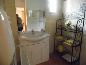 Salle d'eau lavabo et douche à l'italienne