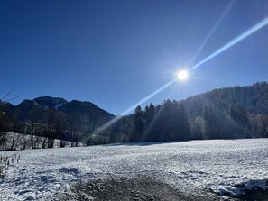 Terrain de l’hébergement 