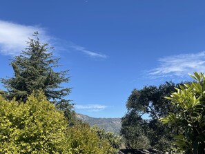 Beautiful Santa Barbara!