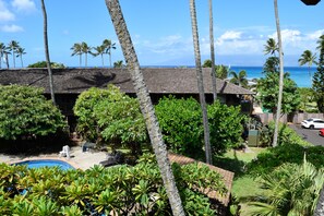 Beach/ocean view