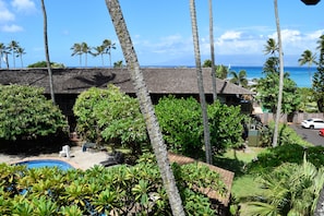 Beach/ocean view