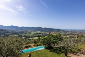 Garden, Outdoor, Pool, Scenic View