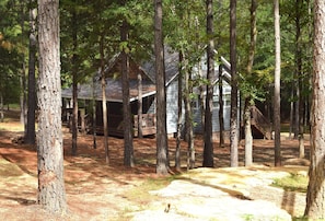 Back View