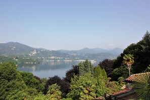 IMG 7967