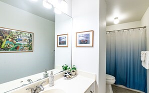 Guest hallway bathroom