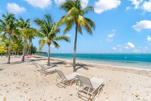 Backyard beachfront with forever blue ocean views. 