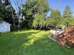 Your backyard view