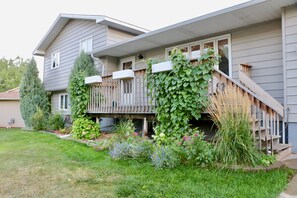 Front garden in late summer