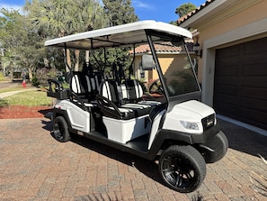 BRAND NEW 6 passenger golf cart