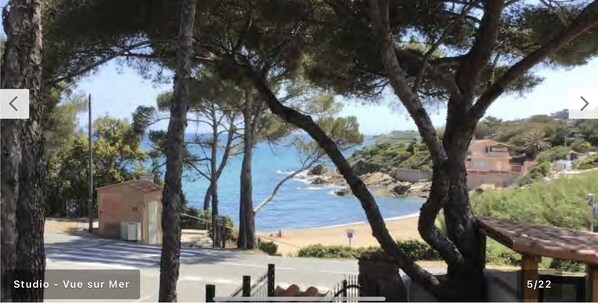 Vue sur la plage/l’océan