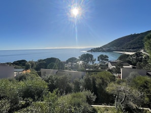 View