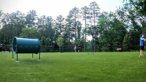 Terrain de sport