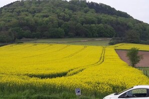 Blick aus dem Schlafzimmer Fenster. 