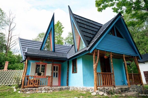 The Blue House