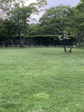 Expansive fenced in lawn