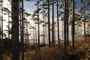 Pacific Ocean