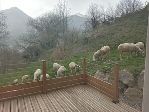 View from property