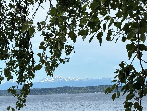 View in of the Olympics Mountains.