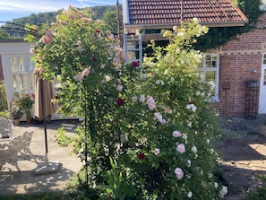 Boendeområde