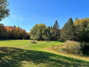 Over 10 acres to explore
