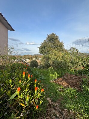 Boendeområde