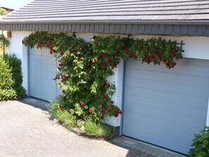 Detalj exteriör