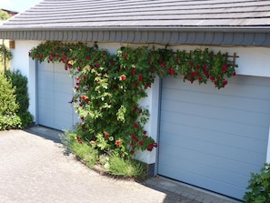 Detalj exteriör