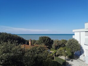 Beach/ocean view