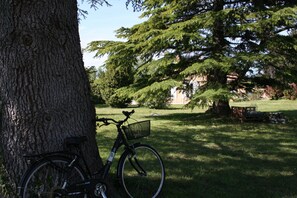 Jardines del alojamiento