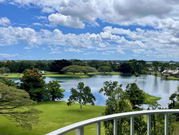 EPIC lagoon views from Hilo Lagoon Centre 814
