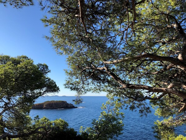 Calanque du Capelan