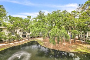 View from Private Patio