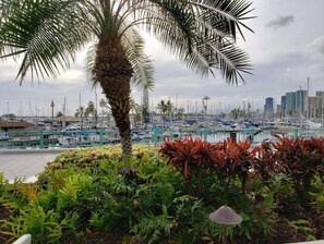 Overlooking the adjacent marina.