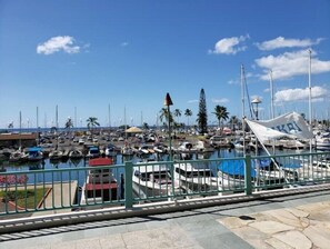 Ilikai Marina in front of the hotel.