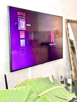 Television