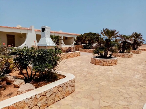 Terraza o patio