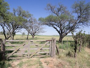 Back gate leading to Calden Woods