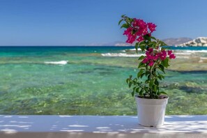 Beach/ocean view