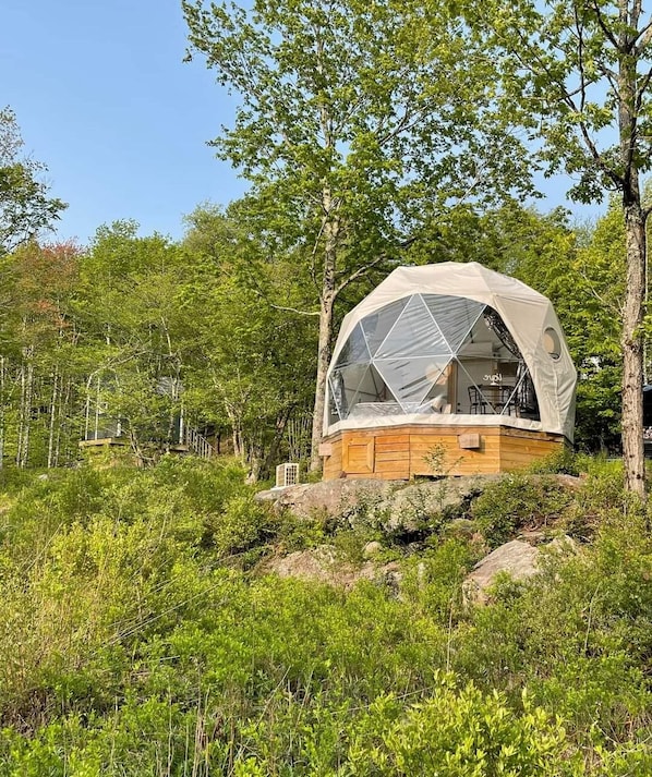 Fully furnished geodesic dome