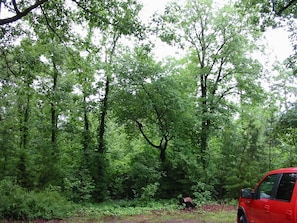 Parkplätze