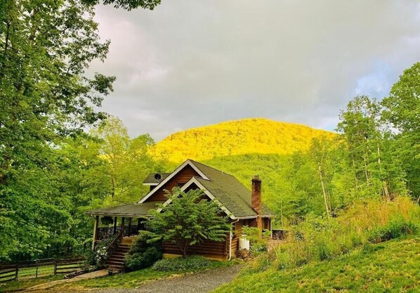 Cabin from view of the driveway. 