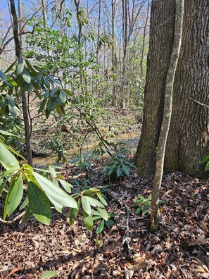 The serene creek borders the property