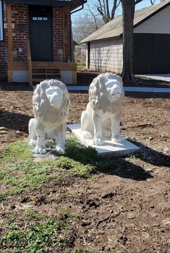 Lions are cool