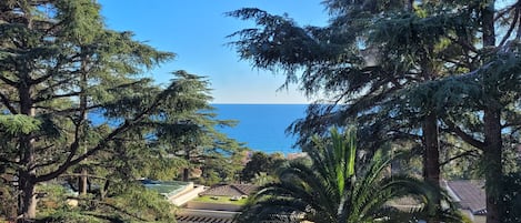 La VUE depuis le Séjour, ainsi que de la Chambre au Grand lit
